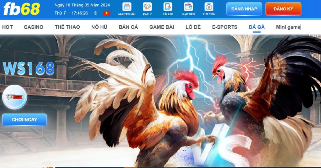 Đá gà FB68 nhận được nhiều đánh giá cao hiện nay