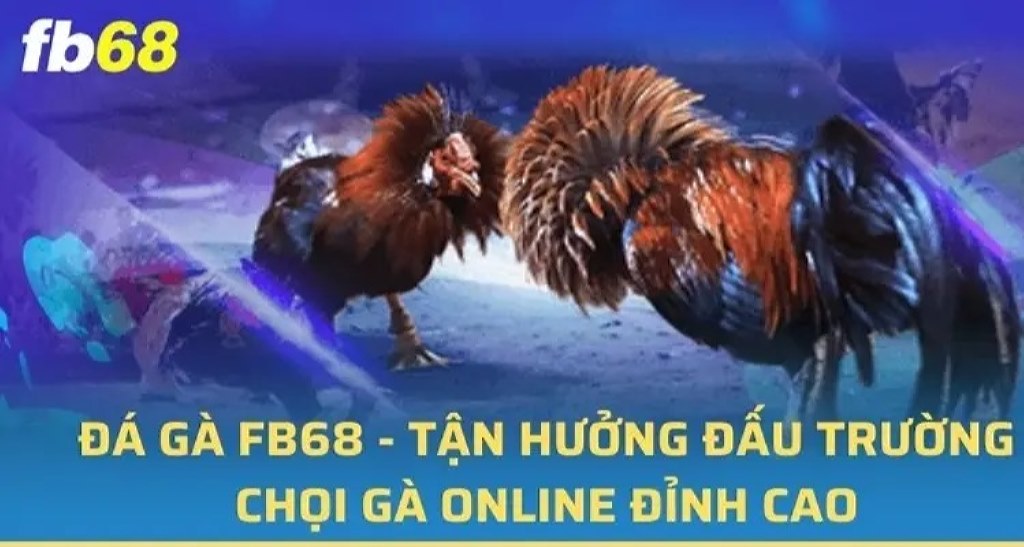 FB68 mang đến kho tàng game đá gà đỉnh cao