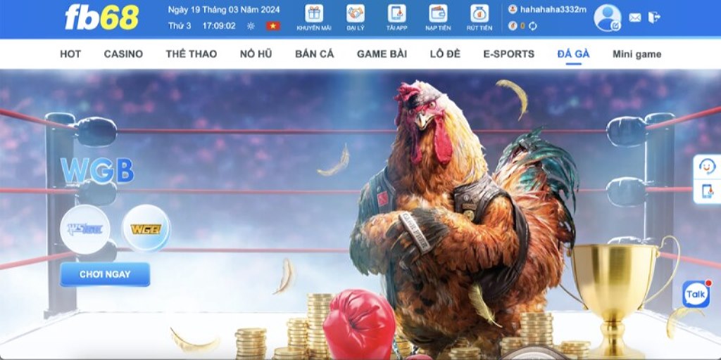 Bạn nên chú ý kinh nghiệm chơi đá gà FB68